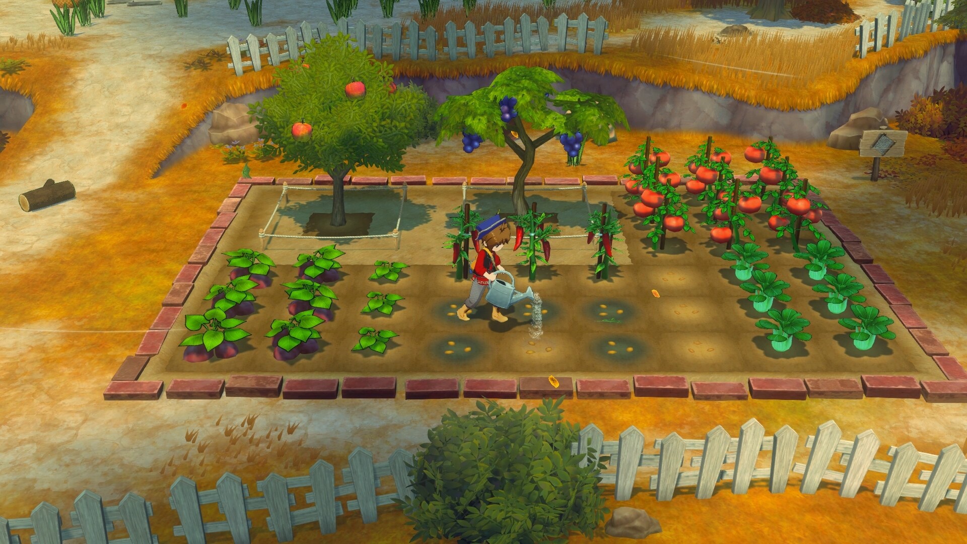 牧场物语 来吧！风之繁华集市|v1.0.3|全DLC|7G大小|官方中文|支持手柄|STORY OF SEASONS: Grand Bazaar