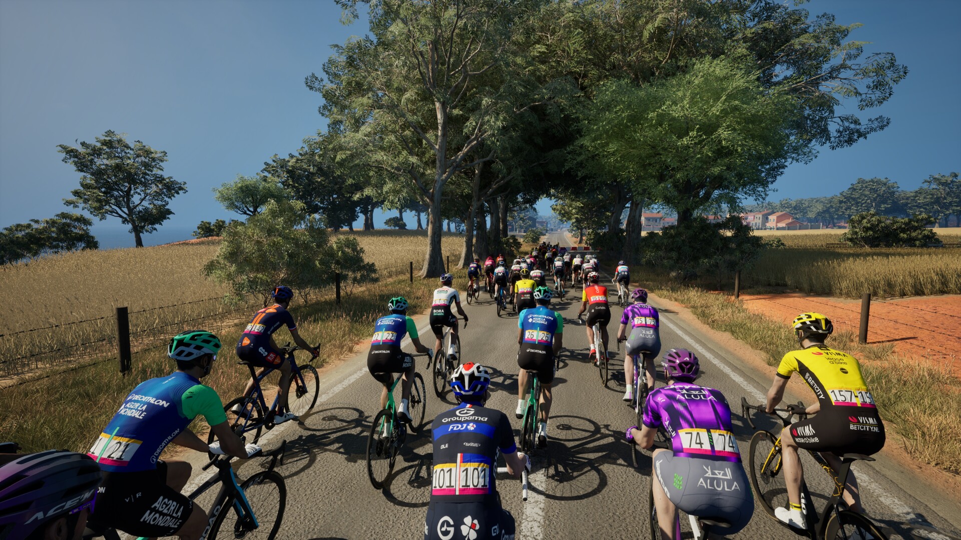职业自行车队经理25/Pro Cycling Manager 25