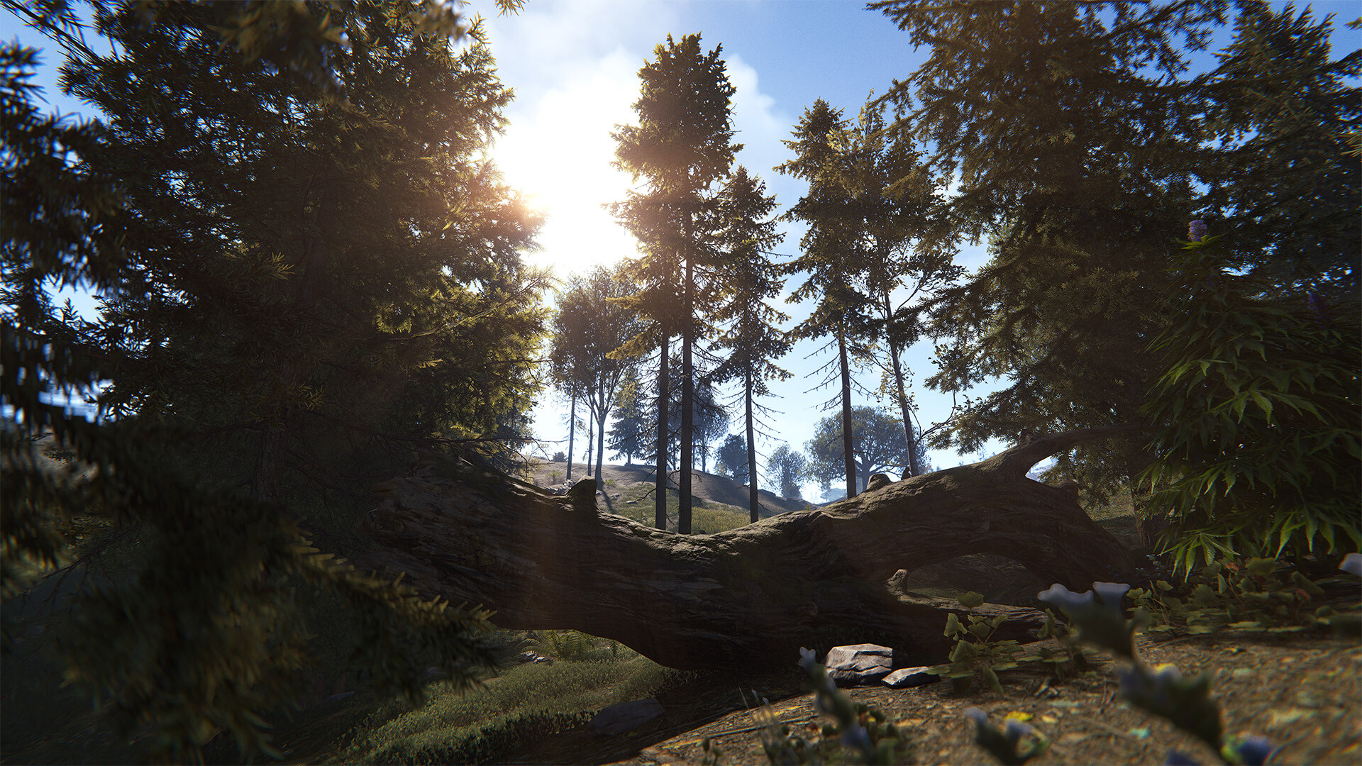 图片[23]-腐蚀‌联机版（Rust Online）v2633.288.1 免安装中文版下载- - 高质量Steam单机游戏下载站