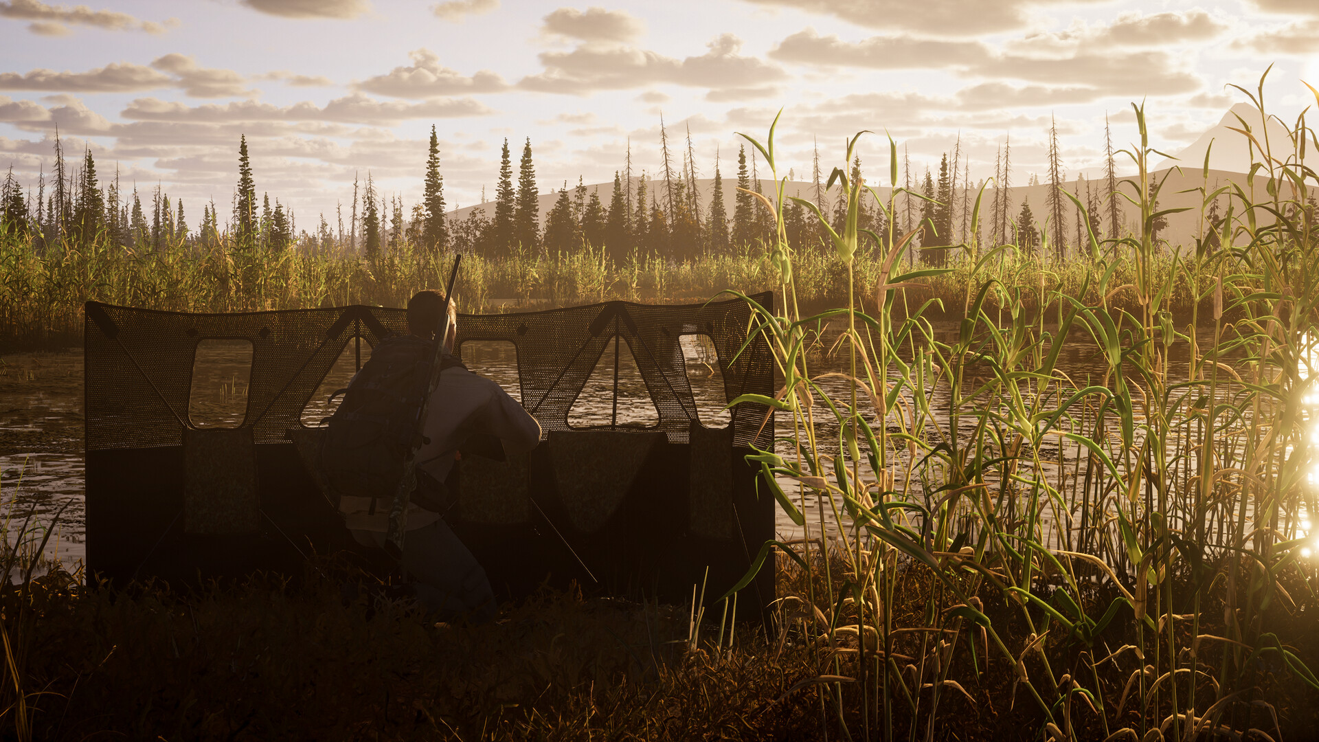 图片[10]-猎人之路2（Way of the Hunter 2）免安装中文版下载-蒸汽游戏宝库 - 高质量Steam单机游戏下载站