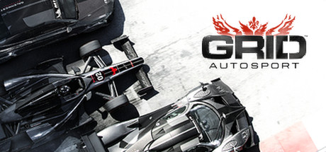 超级房车赛：汽车运动/超级房车赛：赛车运动/GRID Autosport绿色版下载游戏海报封面