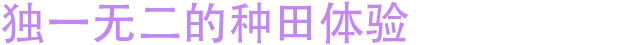 月霜|Moonfrost|Build.25828804|官方中文|支持手柄|容量2.8G插图6vexvex 月霜|Moonfrost|Build.25828804|官方中文|支持手柄|容量2.8G插图6vexvex