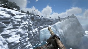 Video 6