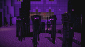 Video 3