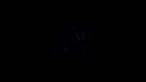 Video 2