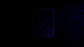 Video 4