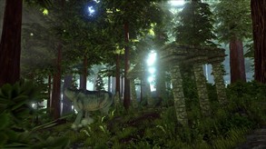 Video 5