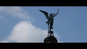 Video 7
