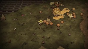 Video 51