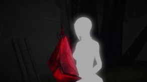 Video 3
