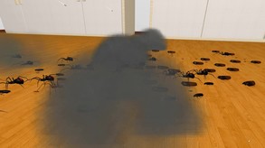 Video 2