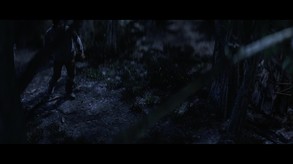 Video 5