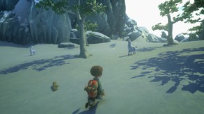 Video 7