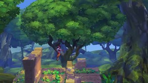Video 4