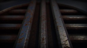 Video 4