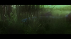 Video 2