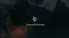 Video 5