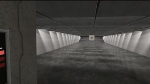 Video 7