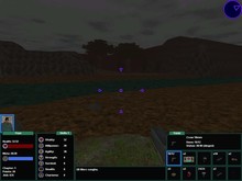 Video 6