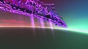 Video 2