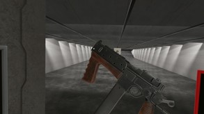 Video 8