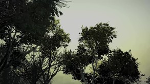 Video 2