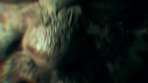 Video 2