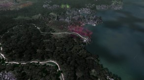 Video 2