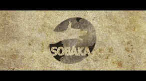 Video 4