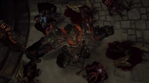 Video 4