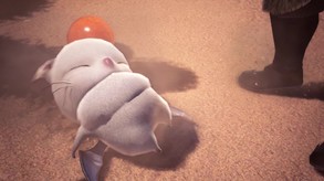 Video 6