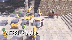 Video 1