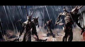 Video 3