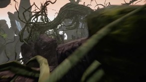 Video 2