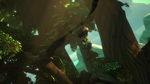 Video 6