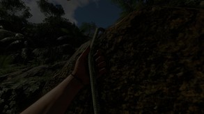 Video 9