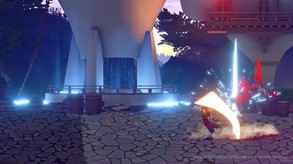 Video 2