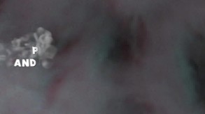 Video 2