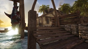Video 1