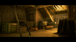Video 3