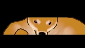 Video 10
