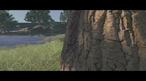 Video 2
