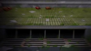Video 2
