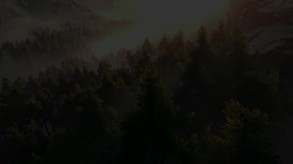 Video 4