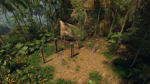 Video 8