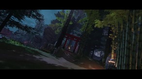 Video 4