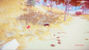Video 3