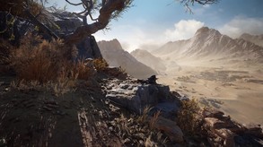 Video 6