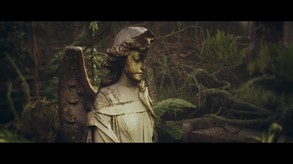 Video 6