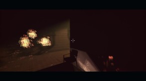 Video 2
